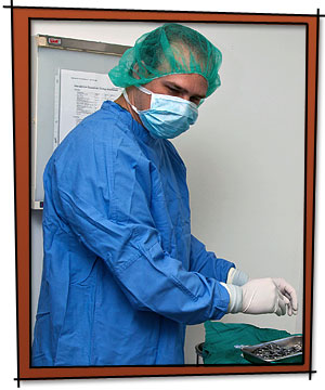 Our Veterinary Surgical Services
