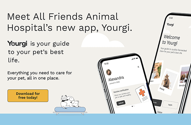Meet Our New App, Yourgi